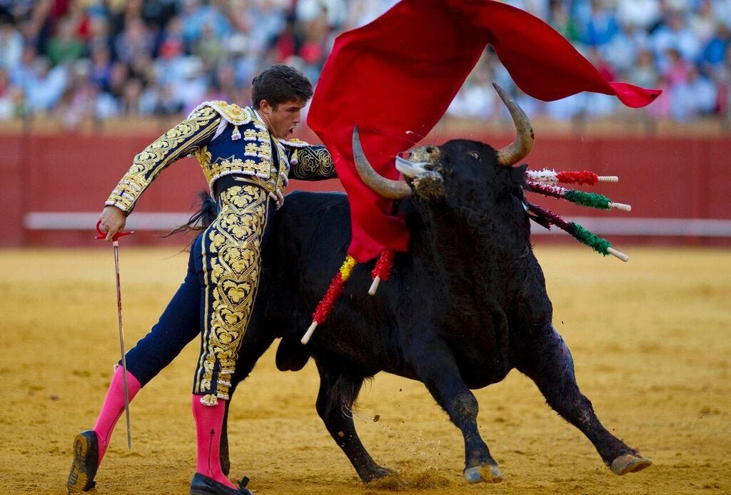 Ending bullfighting in Spain is harder than just pointing out cruelty and  suffering | by Georgina Gustin | Timeline
