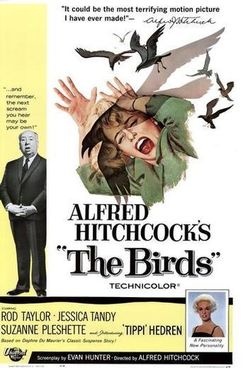 The-birds
