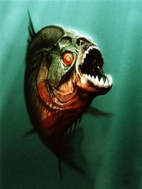 Piranha-3d