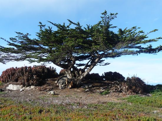 MONTEREY, CALIFORNIA