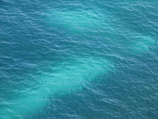 Cannes copy Cannes copy