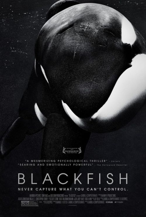 BLACKFISH — POSTER