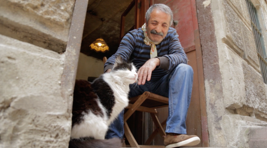 ColeSmithey.com ColeSmithey.com