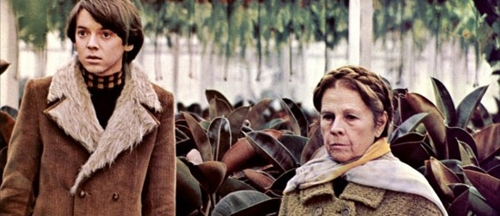 Harold_and_maude_