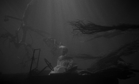 ColeSmithey.com ColeSmithey.com