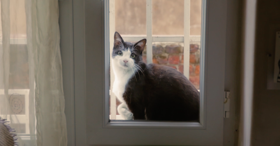 ColeSmithey.com ColeSmithey.com