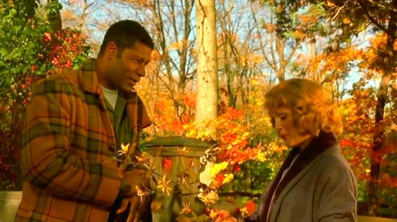 ColeSmithey.com ColeSmithey.com