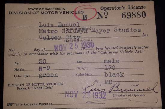 Bunuel's Driver's License