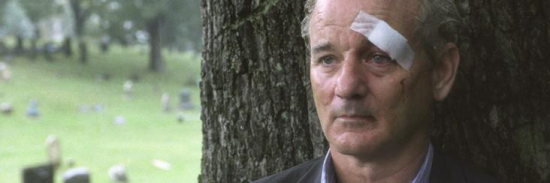 Broken-Flowers