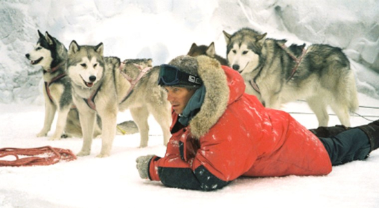 EIGHT BELOW