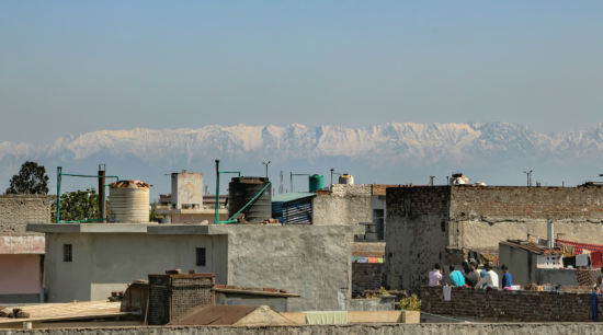 Screen Shot 2022-02-05 at 11.16.25 AM