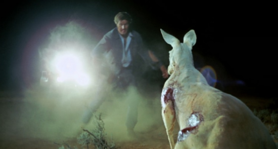 WAKE IN FRIGHT — CLASSIC FILM PICK
