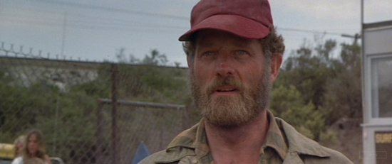 ColeSmithey.com ColeSmithey.com