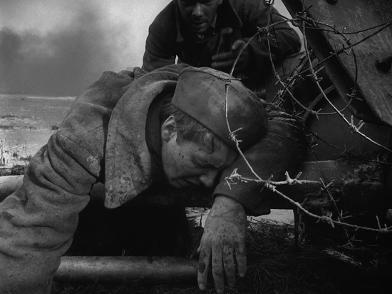 ColeSmithey.com ColeSmithey.com