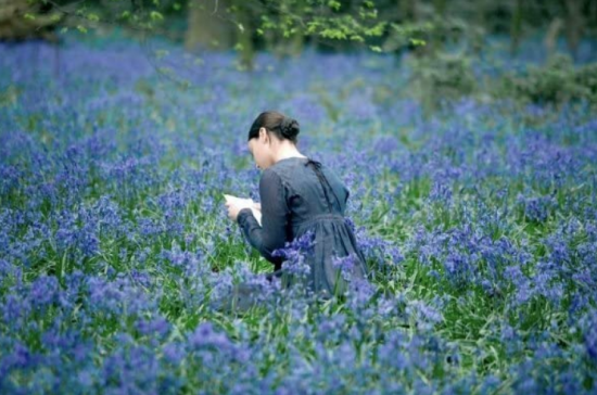 ColeSmithey.com Screen Shot 2022-08-27 at 4.05.47 PM