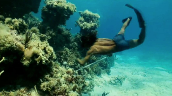 ColeSmithey.com ColeSmithey.com