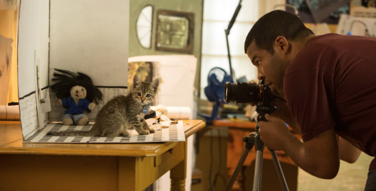 ColeSmithey.com ColeSmithey.com