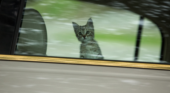 ColeSmithey.com ColeSmithey.com