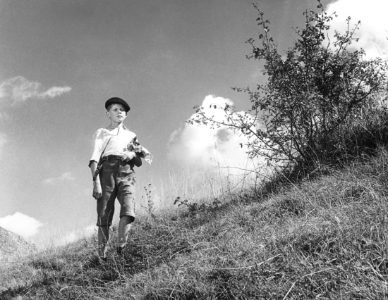 ColeSmithey.com ColeSmithey.com