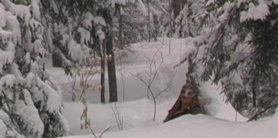 ColeSmithey.com ColeSmithey.com