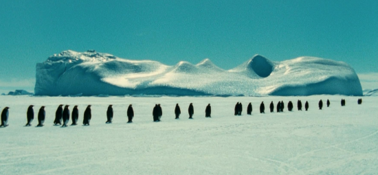 ColeSmithey.com ColeSmithey.com