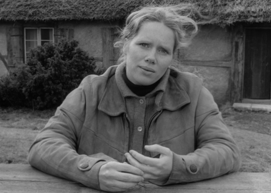 ColeSmithey.com ColeSmithey.com