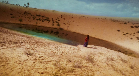 ASHES OF TIME: REDUX — CANNES 2008