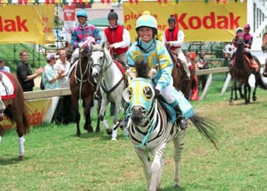 ColeSmithey.com ColeSmithey.com