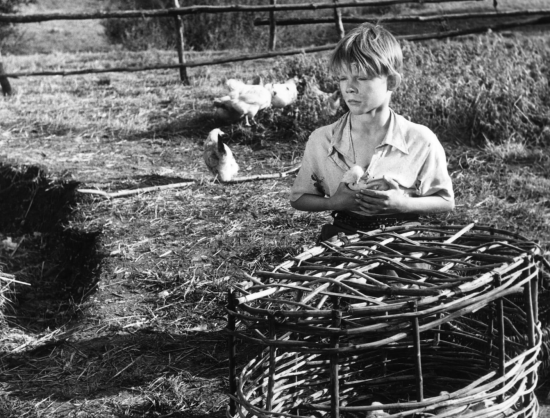 ColeSmithey.com ColeSmithey.com