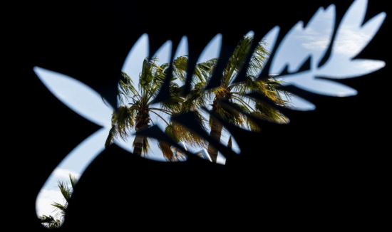 Screen Shot 2025-04-11 at 1.09.29 PM