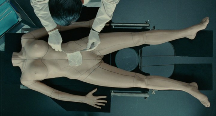 Horror Queers: Dissecting the Moral Dilemma of 'The Skin I Live In' -  Bloody Disgusting